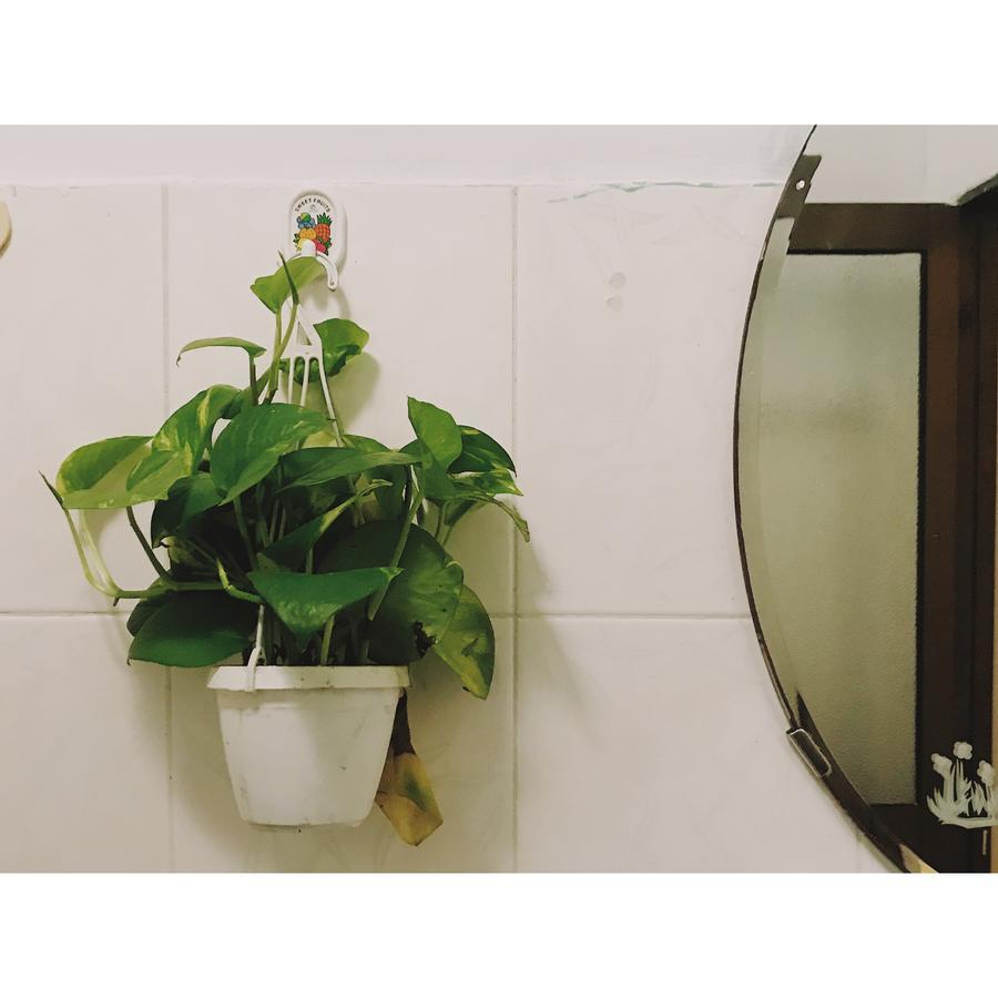 Condodo Hostel Ho Chi Minh City Bagian luar foto